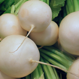 ARJANTİN TURP 1 KG