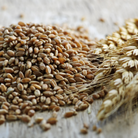 Aşurelik Buğday 1 KG