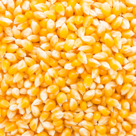 Patlayan Cin Mısır 1 KG